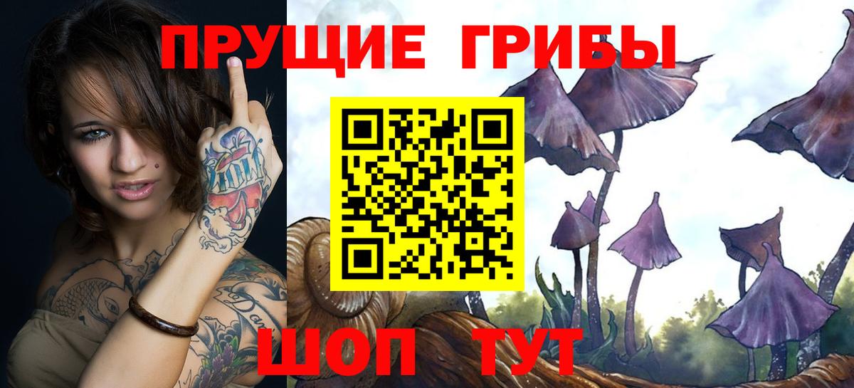 Елабуга  Псилоцибиновые грибы Magic Shrooms  Вход с VPN  Псилоцибиновые грибы ЛСД 