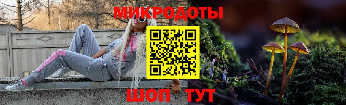 Псилоцибиновые грибы GOLDEN TEACHER Елабуга